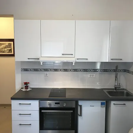 Luxury Center Apartment